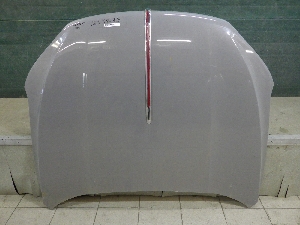 HONGQI HS5 капот 8402010DD41S2
2023г. арт.1233273 Уценка