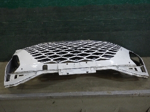 OMODA C5 решетка облицовки радиатора 602002720AAABW 2023г. арт.1238006