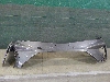 GEELY COOLRAY     6010091900 2023. .1266633