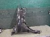 HAVAL F7     8403211XKQ00A 2022. .1344969