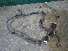 KIA SORENTO        91845C5010 2019. .1403138