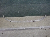 HYUNDAI TUCSON      86569N9000 2022. .1427107