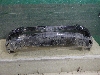 TOYOTA LAND CRUISER     521196B947 2021. .1444236
