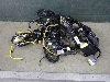 GEELY TUGELLA     6608053319 2023. .1449535