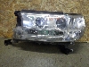 TOYOTA LAND CRUISER 200    8110660K12 2020. .1491337 LED