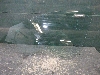 HAVAL JOLION  ������ ����� �������� ����� 6103300XST11AD 2024�. ���.1523822