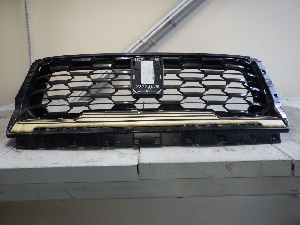 TANK 700 облицовка радиатора 5509100XKF14A 2024г. арт.1542027