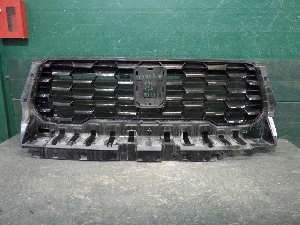 TANK 700 решетка облицовки радиатора 5509100XKF14AB0C 2025г. арт.1595649