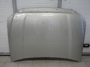 TANK 500 капот 8402101XKV3AA 2023г. арт.1640276