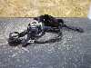 ��� �����  ������ ������������ �������� ����� 8450045914 2025�. ���.1712606