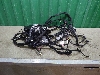TANK 500  ���� ��������� ������ 4011132XKV3CA 2023�. ���.1737083